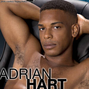 Best Looking African American Male Porn Stars - Adrian Hart | Handsome Hung Black American Gay Porn Star | smutjunkies Gay Porn  Star Male Model Directory