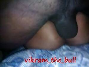 Indian Bull Porn - Indian Bull Porn Videos at anybunny.com