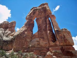 Druidic Nature Porn - Druid Arch, Needles District, Canyonlands NP