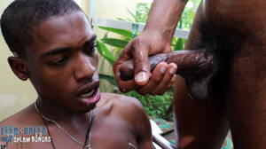 Delicious Gay Black Porn - The garden of gay black semen gay porn video on Universblack