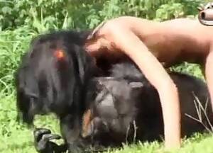 Anal Monkey Porn - Monkey Videos / Anal Zoofilia / Most popular Page 1