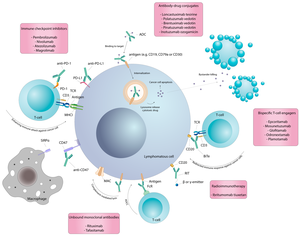 Girlsdoporn E327 - Cancers | Free Full-Text | New Frontiers in Monoclonal Antibodies for  Relapsed/Refractory Diffuse Large B-Cell Lymphoma