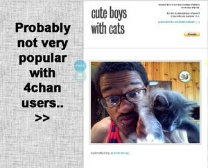 4chan Girls Porn - Drop the LOLcats: 4Chan attack Tumblr for overusing their memes and being  girls