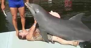 Girls Having Sex With Dolphins - Hilarious video with a dolphin and a horny GILF