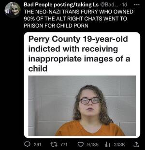 Nazi S&m Porn - The Neo-Nazi Trans Furry : r/BrandNewSentence