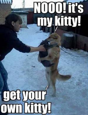 Chichi Bestiality Porn Captions - A funny picture of a dog holding a cat and the owner is trying to take the  cat back. The dog then says 'get your own kitty!