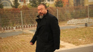 cfi nudist - Chinese police investigate artist Ai Weiwei for 'pornography'