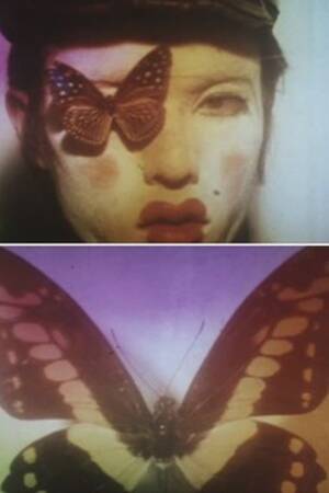 Butterfly Fantasy Porn - Butterfly (1974) directed by ShÅ«ji Terayama â€¢ Reviews, film + cast â€¢  Letterboxd