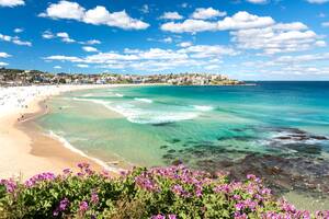 beach nudist colony - Bondi Beach to become nudist for one day only | The Independent