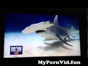 Funny Shark Porn - Shark Porn from shark porn Watch Video - MyPornVid.fun