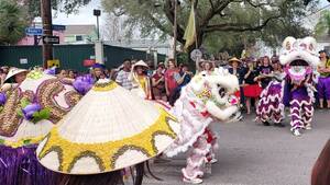 ebony mardi gras sex - Diversity on Display as Mardi Gras Hits New Orleans