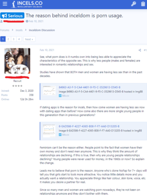 h%26m - Smart incel proposes how incels' heavy use of porn is main factor of their  problem : r/IncelTear
