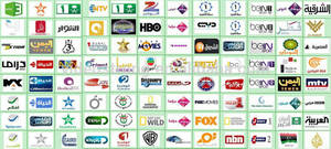 Hd Sex Tv - HOT! porn video media player hd arabic channel free sex tv iptv box