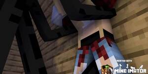 Minecraft Porn Enderman Sex - Minecraft Sex #2 Enderman - Tnaflix.com