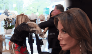 danielle staub - RHONJ' RECAP: Danielle Staub Drags Margaret Josephs By Her Ponytail!