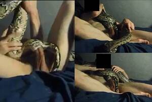 Fucking With Snake - Man Fucks Snake | Gay Fetish XXX