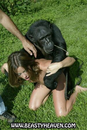 Gorillas Fucking Girls - Woman fucked by gorillas Top rated XXX free pic.