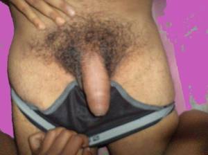 Indian Hairy Sex - Indian Gay sex pics â€” Sucking hairy lollipop