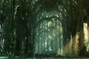 Druidic Nature Porn - fantasy druid grove - Google Search | Khajj Visual Idea Chest | Pinterest