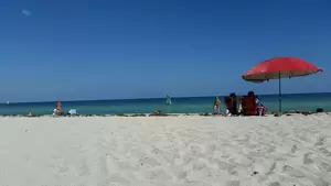 haulover beach nude couples - Haulover Beach, Miami Florida â€£ Nude Beach Map