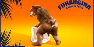 Furry Bear Sex - Grizzly furry gay bear sex part 3 of 3 Furrangina bear - Tnaflix.com,  page=10