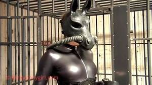 latex pony play - Watch Leather Ponygirl - Fetish, Leather, Pony Girl Porn - SpankBang