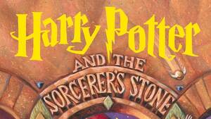 Harry Potter Porn Parody Xxx - Handmaid's Tale,â€² Harry Potter on annual challenged books list