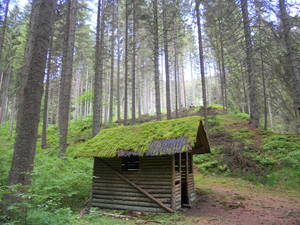 Black Forest Porn - Abandoned ranger hut in the Black Forest, Germany.