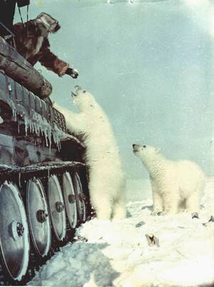 1950s Russian Porn - Unpacking the claim that photos from 1950 are Soviet soldiers feeding  'starving' polar bears | polarbearscience