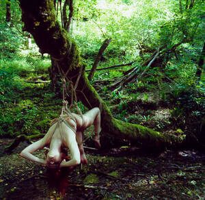 Nature Woods Porn - People in nature Nature Forest Jungle Natural environment Tree Porn Pic -  EPORNER