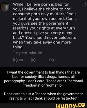 Government Porn - While I believe porn is bad for you, I believe the choice to not consume  porn