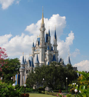 Disney Brave Servant - Cinderella Castle at Walt Disney World.