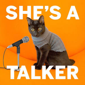 Cute Dj Cats Porn - Listen to She's A Talker podcast | Deezer