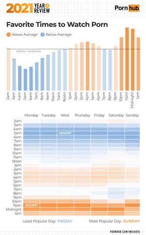 Data Porn - 2021 Year in Review - Pornhub Insights