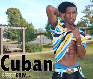 Black Male Porn Star Cuba - So I recently had the opportunity to come in contact with Cuban former  Entertainment West model and current Black Rayne model. Here is our  interview.