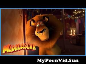 Madagascar 3 Movie Porn - DreamWorks Madagascar | You're a Genius | Madagascar 3Europe's Most Wanted  Kids Movies from madagascar gia Watch Video - MyPornVid.fun