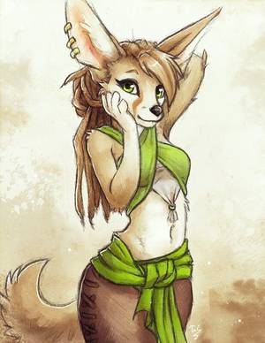 Fennec Fox Furry Porn Animated - Human Art, Furry Art, The Front, Dragons, Train Your Dragon, Kite, Dragon