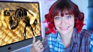 Bee Queen Bee Movie Porn - reacting to bee porn