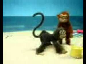 Monkey Toy Porn - Monkey porn - YouTube