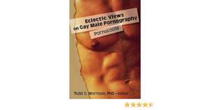 Gay Pornucopia - Amazon.com: Eclectic Views on Gay Male Pornography: Pornucopia:  9781560232902: Morrison, Todd: Books