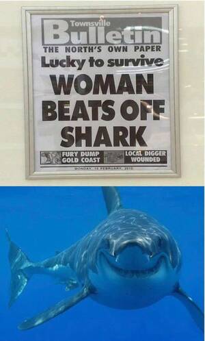 Funny Shark Porn - Imgur: The magic of the Internet