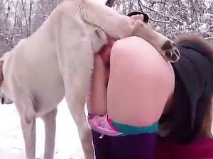 Bestiality Porn Clips - Beastiality - animal sex tube site - with only best collections of free  animal porn moves!