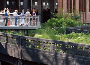 Decay Porn - The High Line in New York is one of this century's biggest renovation  success stories.