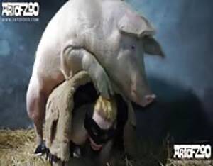 Fuck Pig Porn - Fucked pig - Extreme Porn Video - LuxureTV