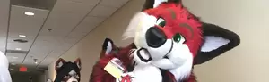 Dres Real Human Furry Porn - 5 Things I Learned Attending A Furry Convention | Cracked.com