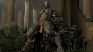 Halo Futanari Porn - 1boy 1girl 3d alien animated armor big_breasts big_penis breasts  clothed_male clothed_male_nude_female cowgirl_position elite female forest  grass