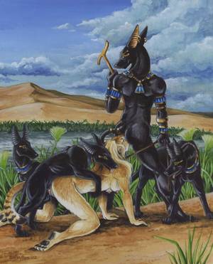 Female Anubis Furry Porn - 2002 anal anal_sex animal anthro anthro_bestiality anubian_jackal anubis  ass back balls breasts ass canine deity egyptian