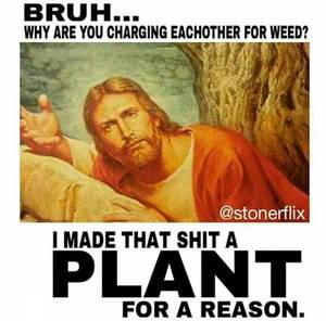 Funny Humor Posters - An ever growing collection of marijuana memes, posters, bud porn and  general weed smoking