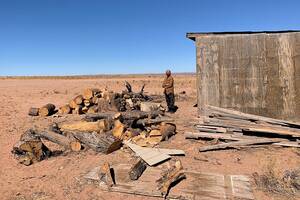 Navajo Porn Arizona - Wood for Life program offers firewood to Indigenous elders.