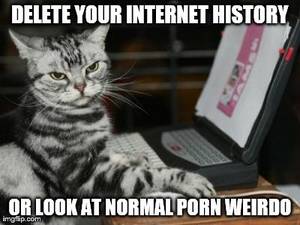 Funny Cat Porn - Cat computer | DELETE YOUR INTERNET HISTORY OR LOOK AT NORMAL PORN WEIRDO |  image tagged